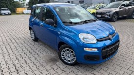 FIAT Panda Icon